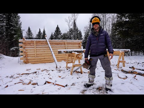 3 Days Winter Camping and Helping @wildhomestead  Build a Log Cabin