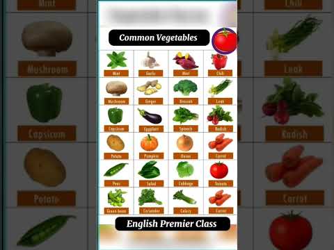 Common Vegetables in English #vocabulary