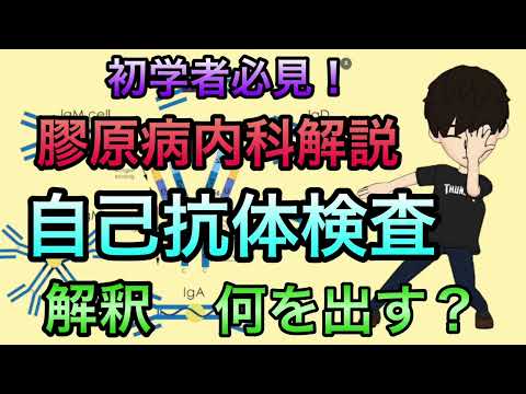 【初学者必見】膠原病内科医解説　抗体検査何を出せばいい？捉え方