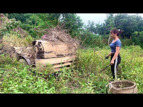 repair and restore a rusty old car abandoned in a deserted field