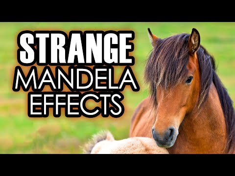 5 Strange Mandela Effects