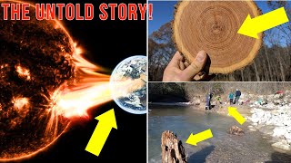 The Sun’s Untold Story: Earth's Ancient Trees Reveal Secrets of Solar Storms