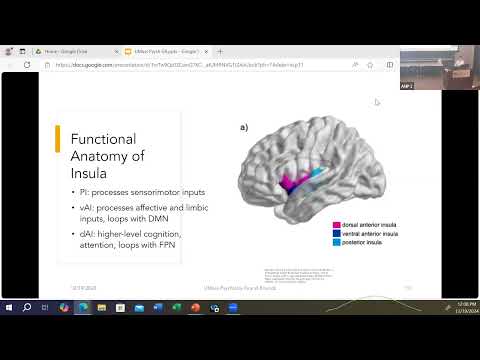 Phenomenological and Neurological Explanations of Psychosis Presented by Alexander Lichtenberg, M.D.