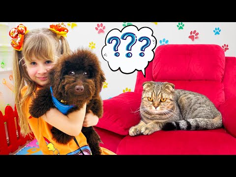 Diana and Roma's New Pet + More Funny Animals Compilation