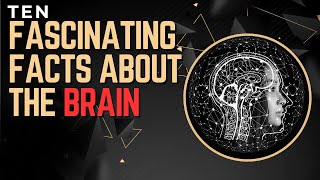 The Brain A Universe Within Us - 10 Mind-Expanding Facts