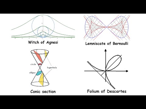 Every Algebraic Curve Explained