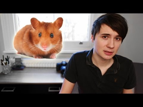 The Story of My Hamster