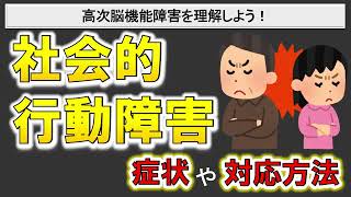 【高次脳機能障害】社会的行動障害とは？対人トラブルなどの症状や対応方法とは？