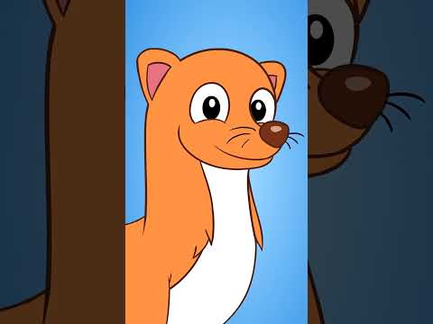 Pop Goes the Weasel #shorts #kidsongs #rocknlearn