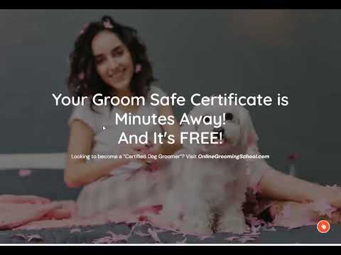 Master Groomers Academy Introduction