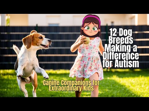 ❗12 Best Dog for Autism 🐩 Dog Therapy for Autism 🐕‍🦺 Autism Assistance Dog💥