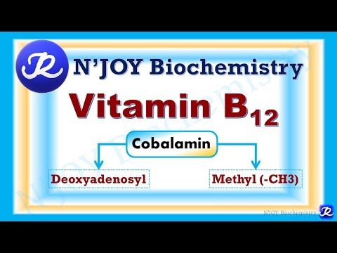 14: Vitamin B12: Cobalamin |Water Soluble Vitamins| Vitamins |Biochemistry |@NJOYBiochemistry