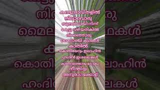 Kandu ravithalil #lyrics_whatsapp_status  #song #music #ytshorts