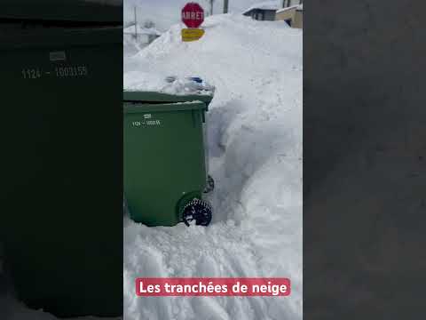 On est en guerre contre la tempête, préparez vos tranchées pour vous frayer un chemin dans la neige