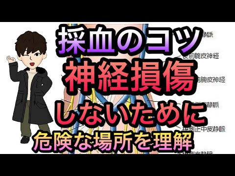 採血点滴　これを見れば注意点がわかる！腕の神経走行