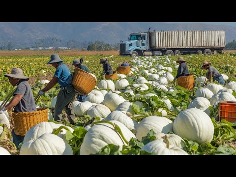 50+ Mind-Blowing Harvest Moments That Will Leave You Speechless - Agriculture Technology