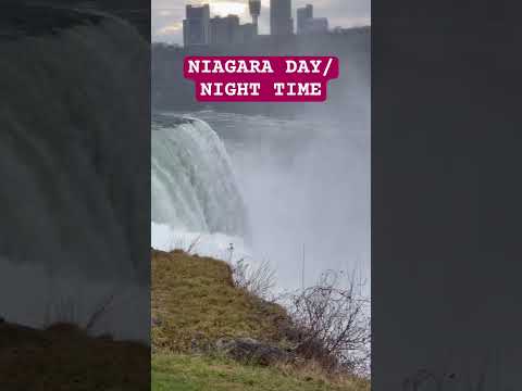 NIAGARA FALLS #telugu #trending #shorts #youtubeshorts #song