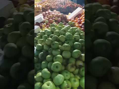 Apple price in Italy