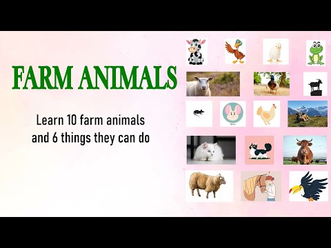 Farm animals vocabulary for elementary learners of English