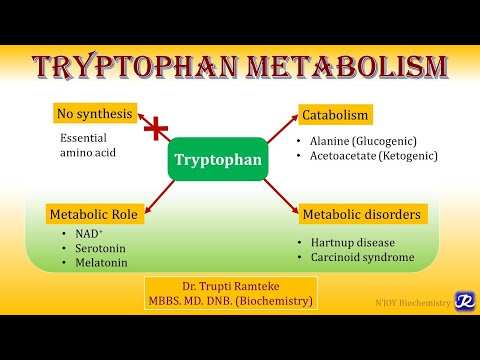 12: Tryptophan metabolism | Amino Acid Metabolism | Biochemistry | N'JOY Biochemistry