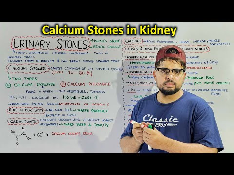 Calcium Stones in Kidney: Calcium Oxalate & Calcium Phosphate stones (Urinary stones and its types)