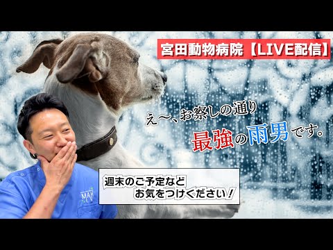 宮田動物病院 ライブ配信【MAHチャンネル】