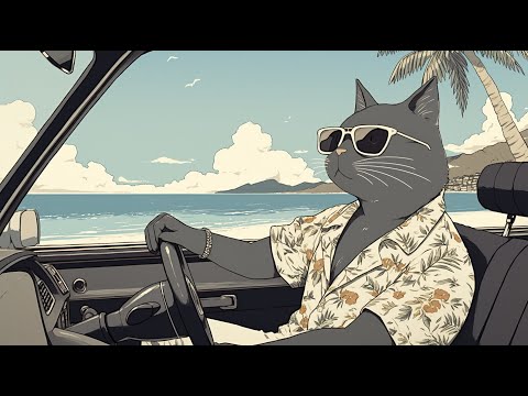 Black Cat Beach Drive