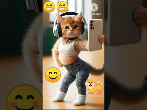 #cutecat #selfie #catselfie #funny #viral #trending #shortsvideo #mobile #howilostweight #catvideos