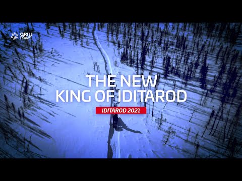 The New KING of Iditarod | QRILLPAWS 2021