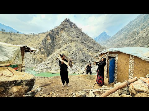 Hard Work & Teamwork! Collecting Firewood for Survival in Nomadic Life! 🌲🔥