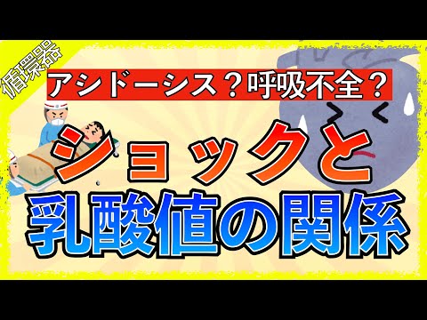 イラストで学ぶ医学！「ショックと乳酸の関係とは」ショックで乳酸アシドーシス・呼吸不全になる理由は？