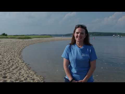 Citizen Science With Mystic Aquarium