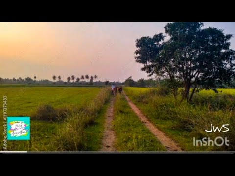 JWM | 3RdEYE Photography 031 | Village trip | Tamilnadu| India | Sankarji