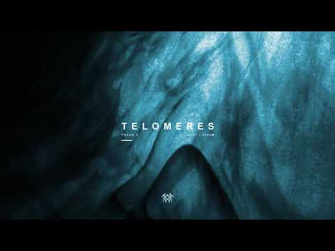 Sleep Token - Telomeres (Visualiser)