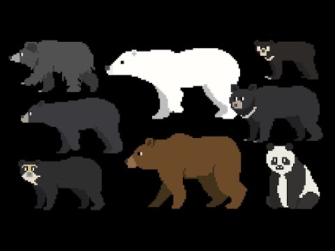 Bears - The Kids' Picture Show