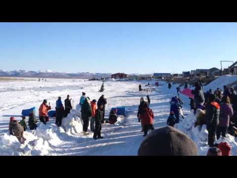 Aliy Zirkle mushes into Unalakleet, wins Gold Coast Award