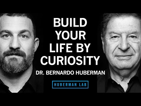 Dr. Bernardo Huberman: How to Use Curiosity & Focus to Create a Joyful & Meaningful Life