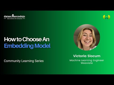 How to Choose an Embedding Model?
