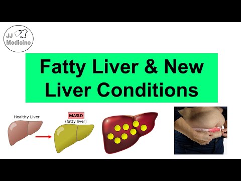 Fatty Liver (NAFLD) & “New” Liver Conditions | MASLD, MetALD & Others (Diagnostic Criteria)