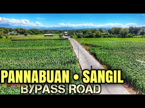 【4K】BACARRA | PANNABUAN SANGIL BYPASS ROAD | AERIAL VIEW DJI NEO