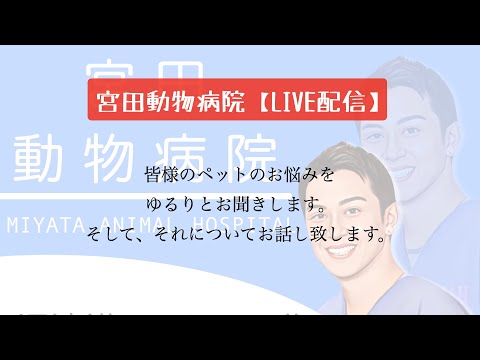 宮田動物病院 ライブ配信【MAHチャンネル】