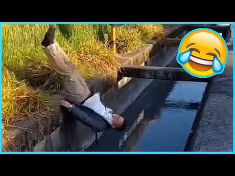 Best Funny Videos 🤣 - People Being Idiots / 🤣 Try Not To Laugh - BY Funny Dog 🏖️ #61