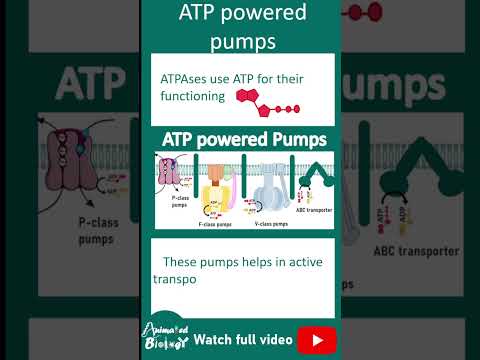 Types of ATP powered pumps | ATPases explained in 1 minute