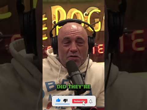 Joe Rogan Lets Talk Now