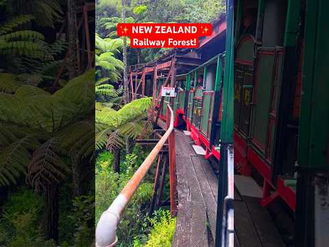 New Zealand’s UNIQUE Railway Experience! 🌴 🚂 #newzealand #newzealandtravel #nz #nztravel #train