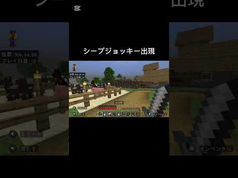 【マイクラ】シープジョッキー #マイクラ #minecraft #shorts