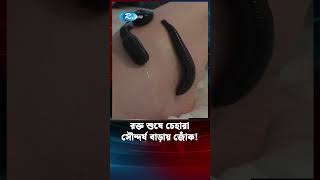 মানুষের শরীরে রাজত্ব করে যেভাবে সৌন্দর্য বাড়িয়ে দেয় জোঁক #leech #Rtv  #rtvnews