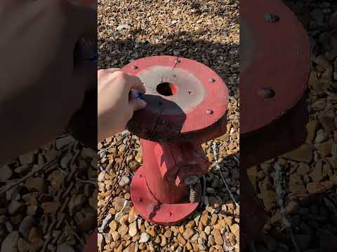 This FAKE FIRE HYDRANT is actually hiding a geocache! | GeoTrek #shorts