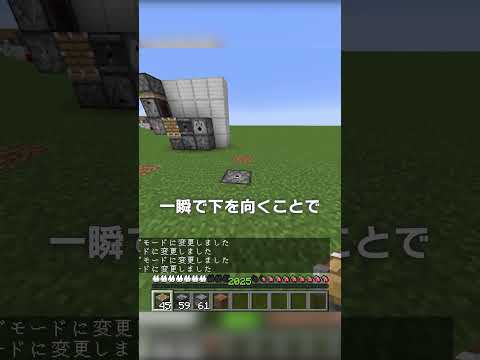 本当に知っても使わん謎のバグ【マイクラ豆知識 解説 裏技】