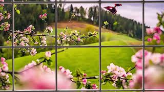 Spring & Nowruz TV Background & Window | Relaxing Spring Ambience with Soothing Sounds